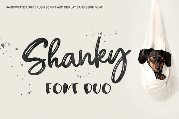 Shanky preview 8