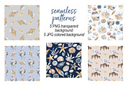 Shells, beach watercolor set., an Illustration by Larisa Maslova (Thumbnail 11 of 13)
