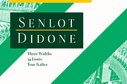 Senlot Didone, a Serif Font by insigne (Thumbnail 1 of 4)