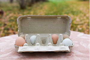 Carton egg box outside on Easter, a Food & Drink Photo by COLORFUL
