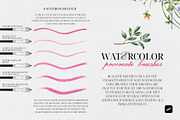 Watercolor Realistic Soft Brushes, a Brush Add-On by Spasibenko Art (Thumbnail 2 of 14)