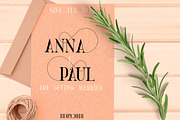 Golden Bird Serif font + Cool Extras, a Serif Font by VP Fonts (Thumbnail 8 of 13)