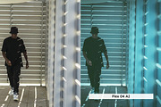 20 Bluish Film Lightroom Presets, a Preset Add-On by skybluecreative (Thumbnail 9 of 13)