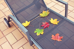 Deckchair at autumn, a Nature Photo by BOOCYS
