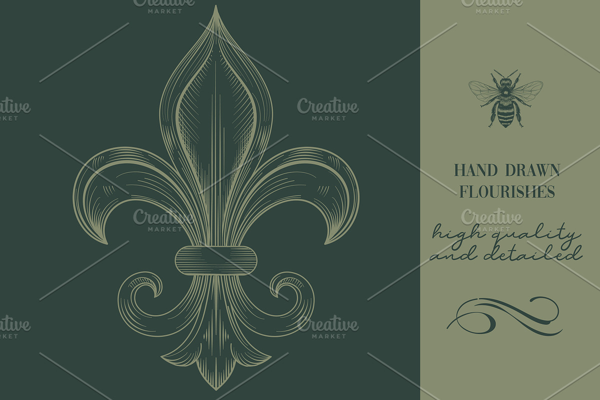Calligraphic set of vintage flourish, an Object Illustration by FleurArt (Photo 11 of 12)