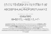 El Maestro, a Script Font by Alexander Tiunov (Thumbnail 8 of 8)