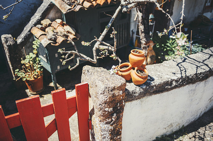 Terracotta pots in rustic courtyard, a Wallpaper Photo by SkyNext