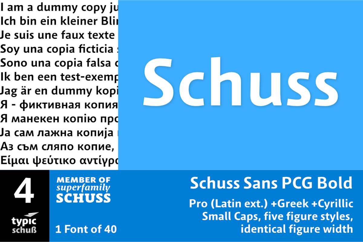 SchussSansPCGBold No.04 (1 Font)