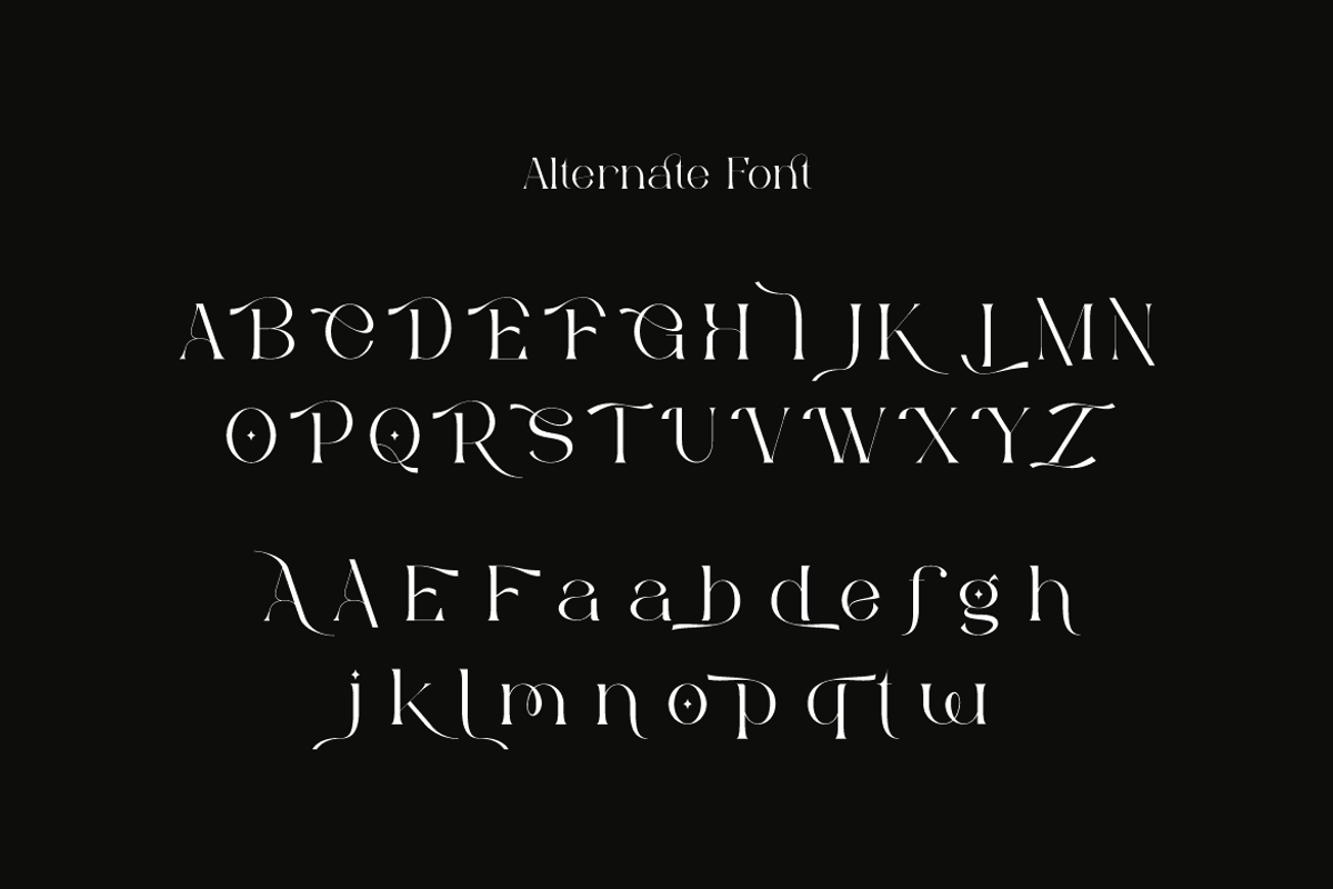 Bonuko - Modern Ligature Serif Font, a Serif Font by Iqsiart Studio (Photo 6 of 16)
