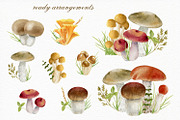 Forest watercolor designer toolkit, an Animal Illustration by Elegantia (Thumbnail 20 of 28)