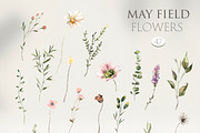 May - Floral Watercolor Collection, a Decorative Illustration by Les Frolova (Thumbnail 11 of 12)