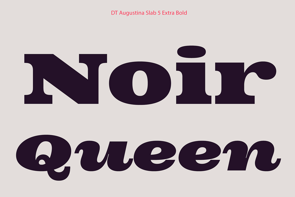 DT Augustina Slab 5 Subfamily, a Slab Serif Font by Deveze Type Foundry (Photo 15 of 31)
