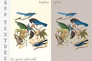 Crafty Delicate Watercolor Paper Set, a Texture Graphic by Liquid Amethyst Art (Thumbnail 3 of 7)