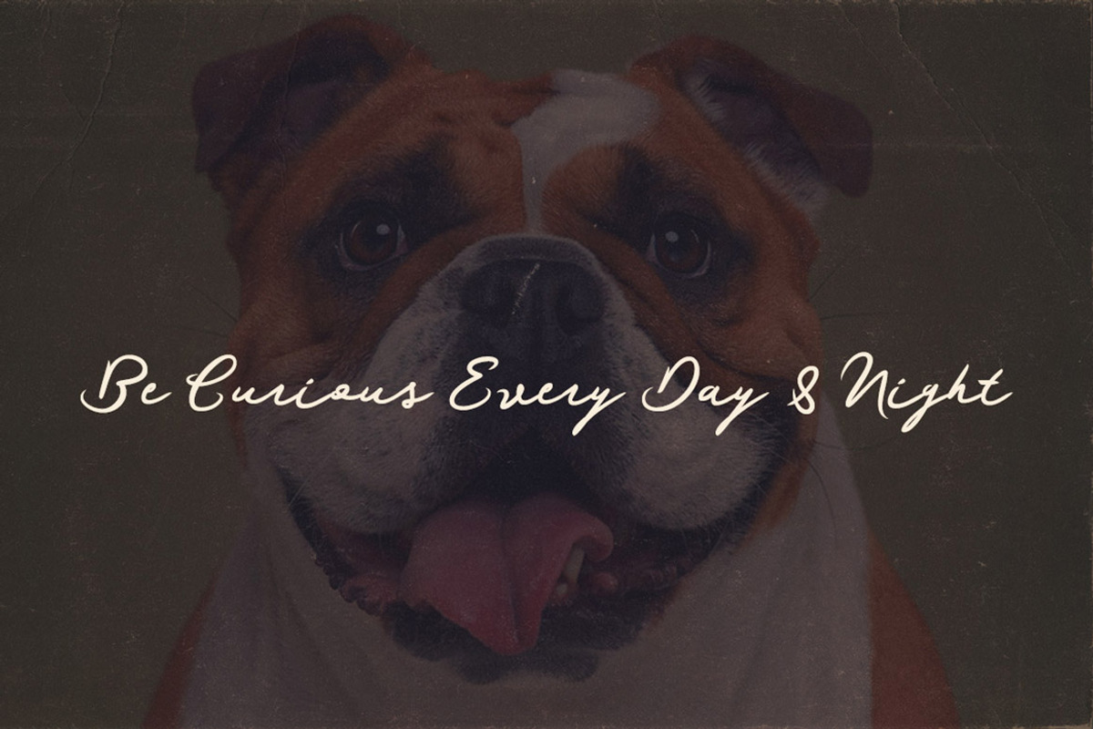 Haksen Script Font preview 3