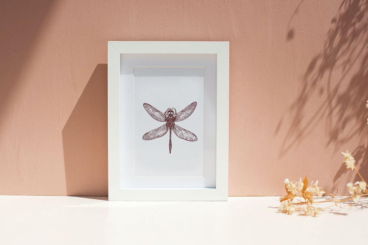 ENTOMOLOGY. Insects Vintage Pack., a Decorative Illustration by Chewie Co (Photo 2 of 11)