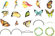Lemon Lime Orange Watercolor Bundle, a Food Illustration by LilyBoo Clipart (Thumbnail 6 of 6)