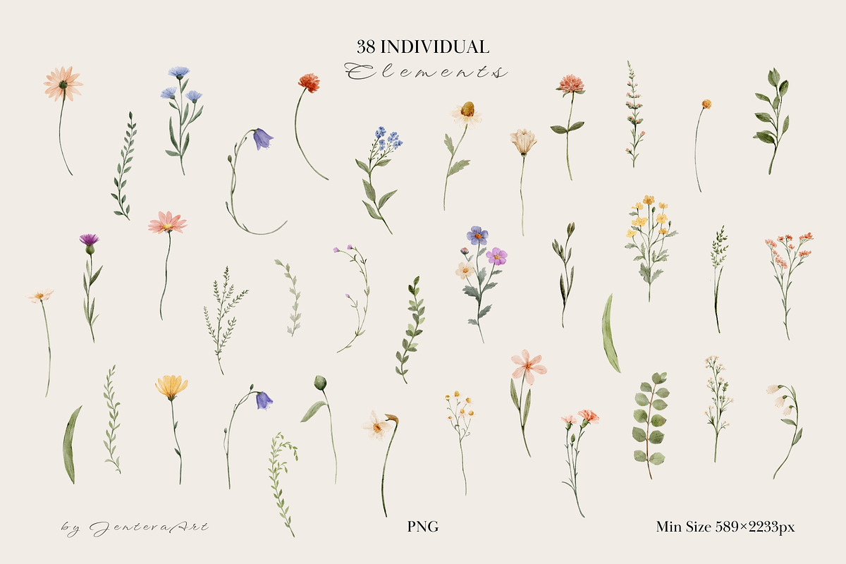 Watercolor Wildflowers Collection, an Object Illustration by Jenteva Art (Photo 17 of 18)