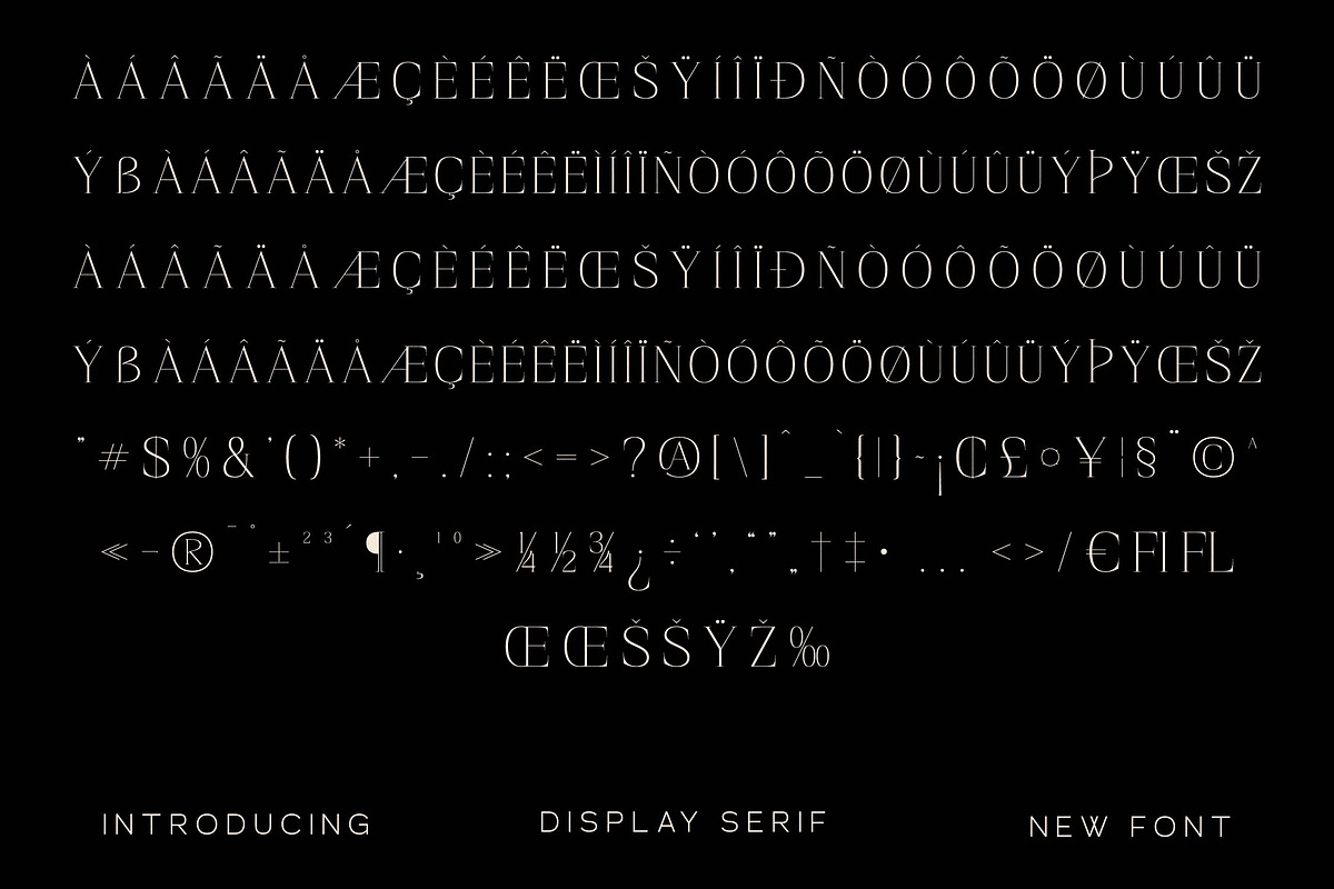 Magisse Display Serif Font, a Serif Font by Storytype Studio (Photo 14 of 15)