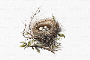 Nests Watercolor Clipart