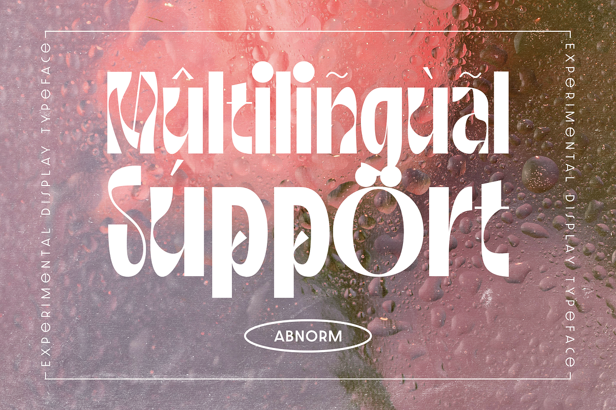 Abnorm Experimental Display Typeface, a Serif Font by Graphue (Photo 4 of 9)