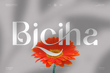 Biciha || Minimalist Sans Serif Font