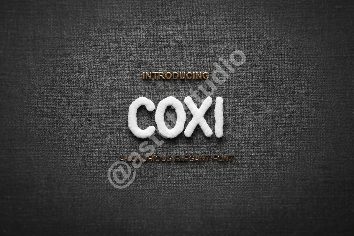 Coxi: Luxury Modern Display Serif Ty, a Font by Astuti Studio (Photo 1 of 16)