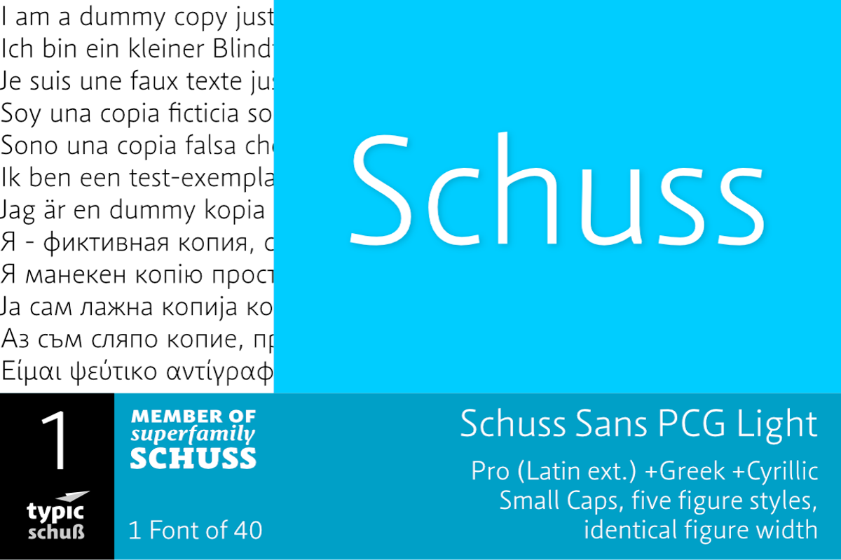 SchussSansPCGLight No.01 (1 Font)