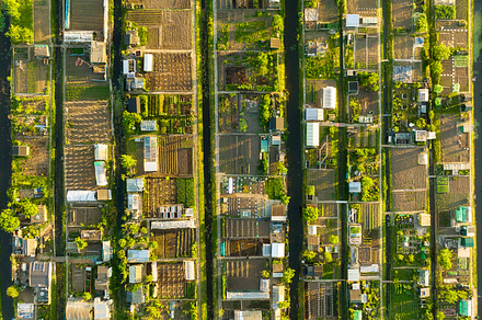 Aerial view of vegetable gardens., an Industrial Photo by Landscape and travel