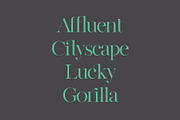 Par Realisation - Serif Typeface, a Serif Font by TypeMaison (Thumbnail 11 of 14)
