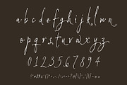 BandaMoons expressive signature font, a Script Font by HypeWorksCo (Thumbnail 15 of 15)