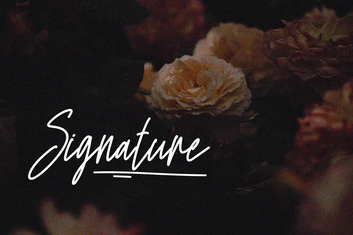 Thriphika Script Handwritten Font, a Script Font by NTC Graphic (Photo 3 of 8)