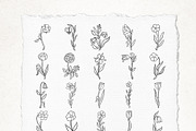 89 LINE ART FLOWER ILLUSTRATIONS, an Illustration by Katerina Osa (Thumbnail 7 of 10)