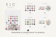 17 Procreate Color Palette - BUNDLE, a Palette Add-On by slowlivecreate (Thumbnail 1 of 7)