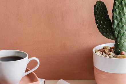 Cactus & Coffee Workspace Image, a Business Photo by Her Creative Studio