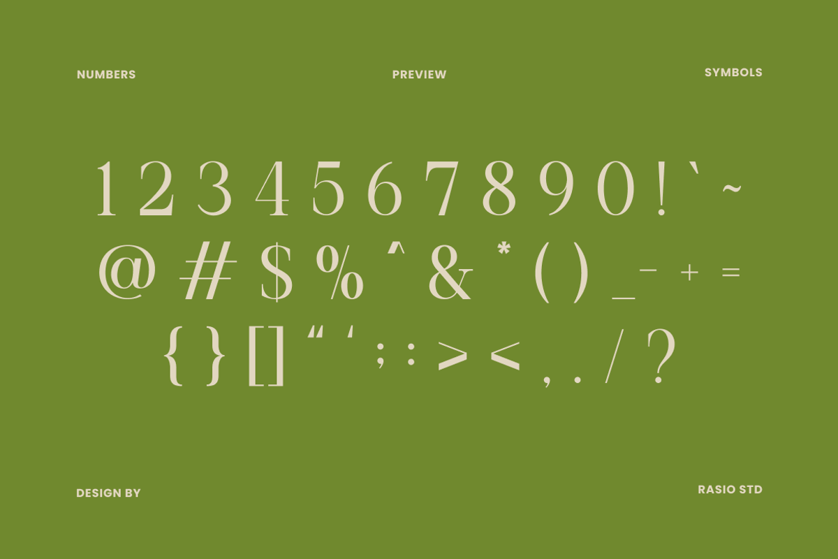 Remara Elegant Decorative Serif Font, a Serif Font by Rasio Studio (Photo 3 of 9)