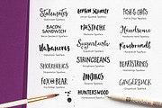 The Typographer's Toolbox, a Handwritten Font by Nicky Laatz (Thumbnail 2 of 5)
