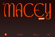 CS Macey Drawn, a Serif Font by Craft Supply Co. (Thumbnail 1 of 8)