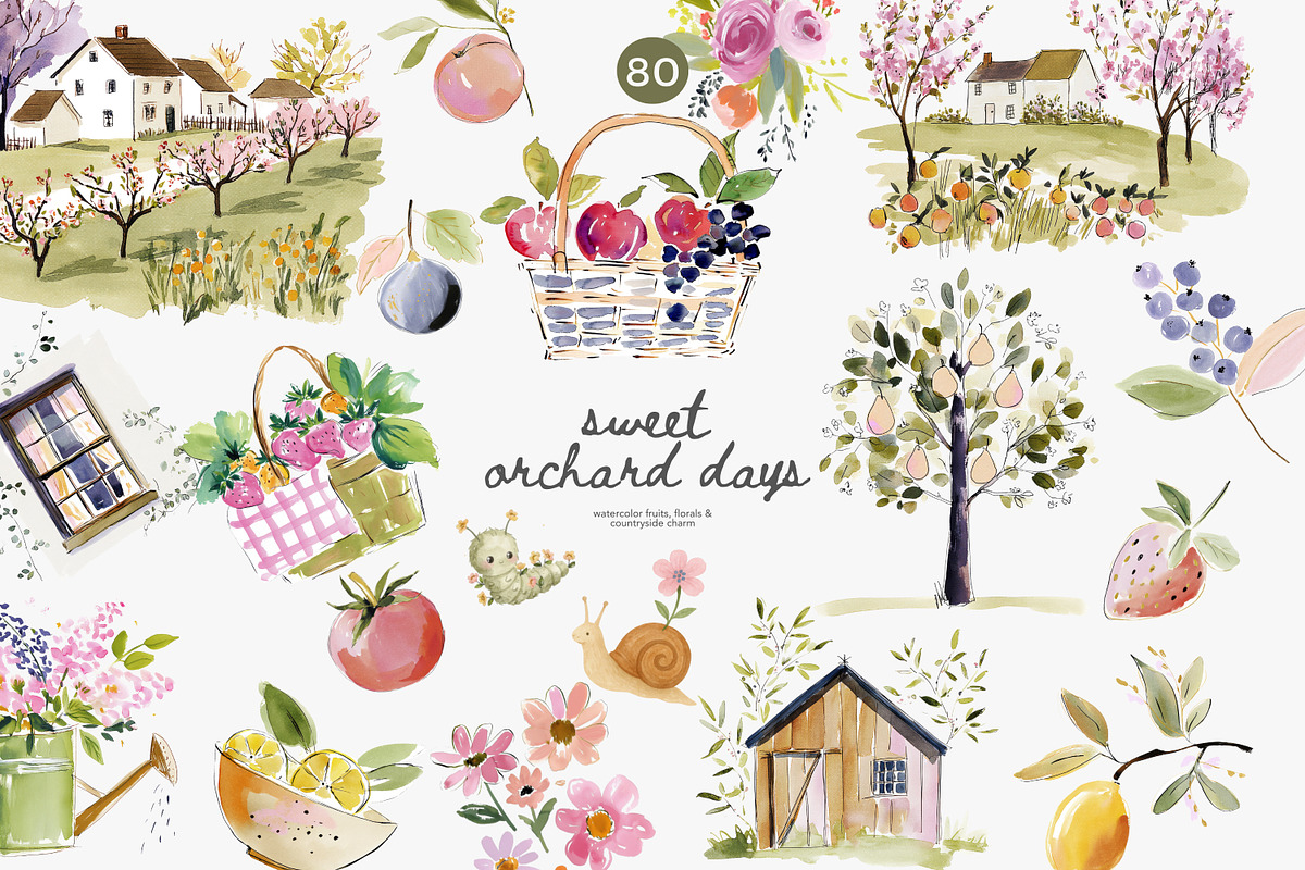 orchard watercolor clipart set, a Decorative Illustration by Patishop Art (Photo 1 of 9)