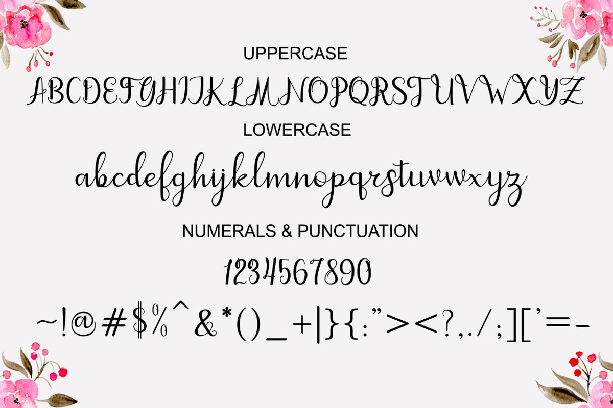 dahlia script, a Script Font by MSG Studio (Photo 9 of 11)