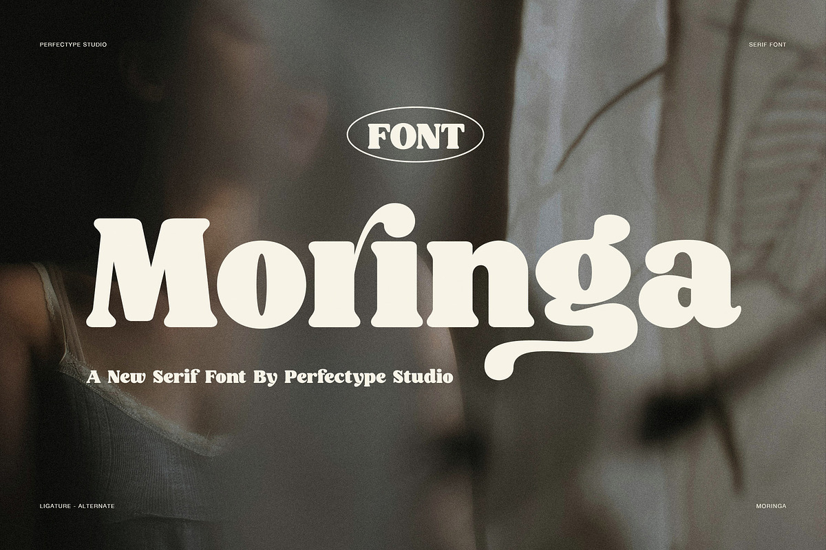 Moringa Bold Serif Font, a Serif Font by Perfectype (Photo 1 of 8)