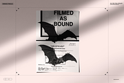 Halloween Special! Bats of the World, an Animal Illustration by Nomad Visuals (Thumbnail 4 of 17)