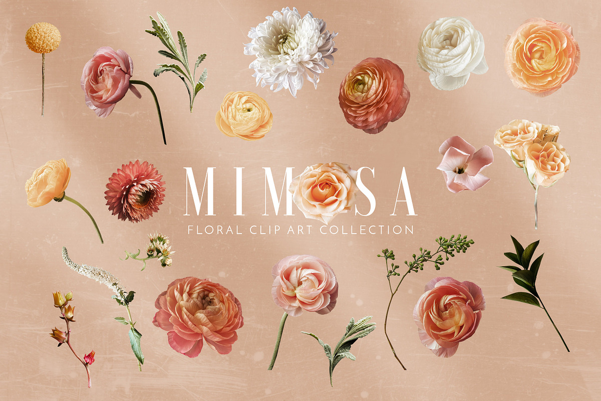 Floral Art Collection - Mimosa, an Object Graphic by Eclectic Anthology (Photo 7 of 11)