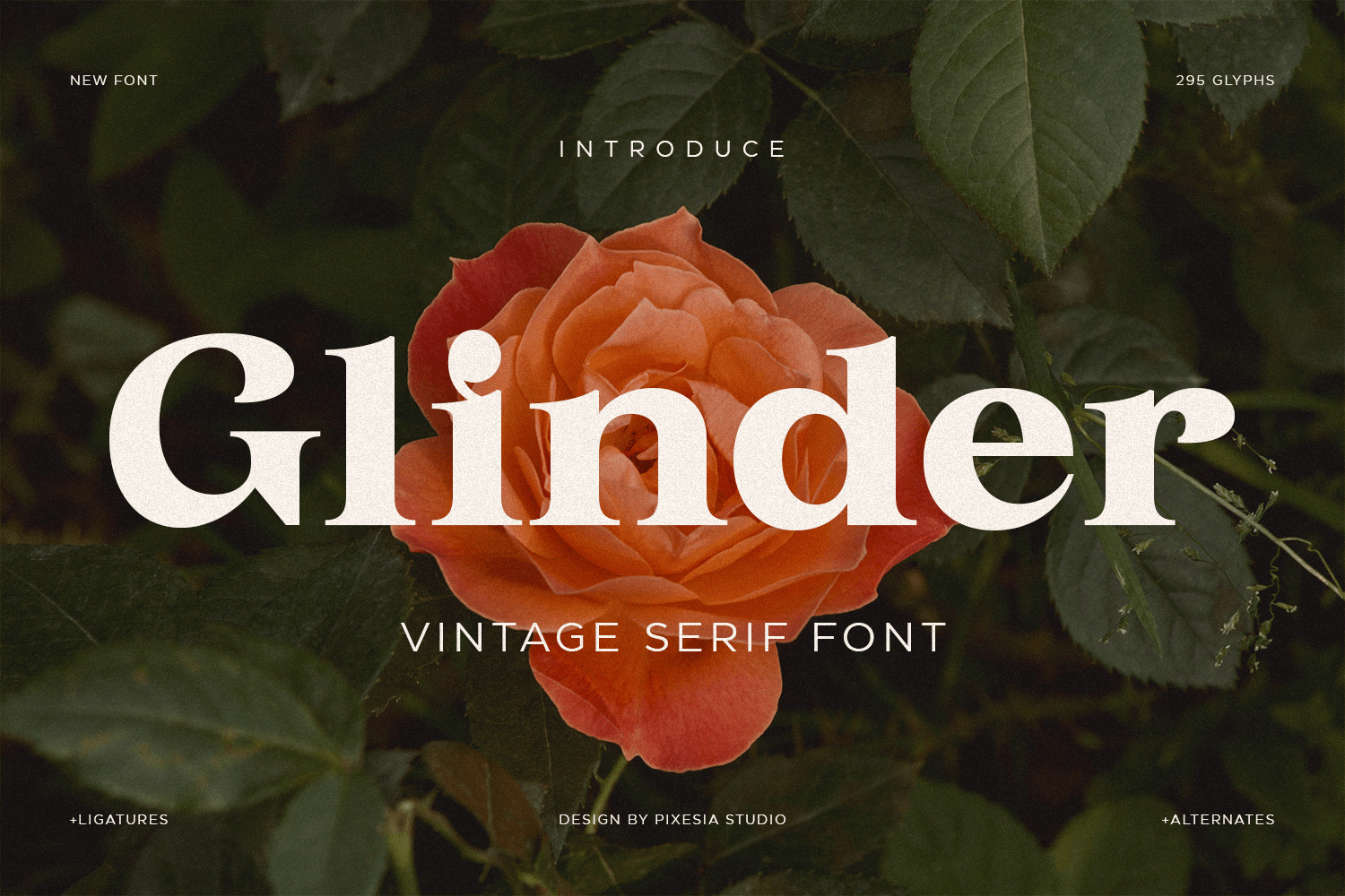 Glinder - Elegant Vintage Serif Font