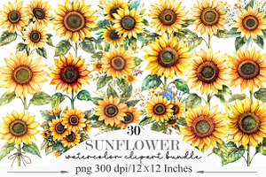 Watercolor Sunflower Clipart Bundle, an Illustration by Designking