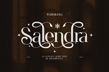 Salendra Elegant Ligature Serif Font