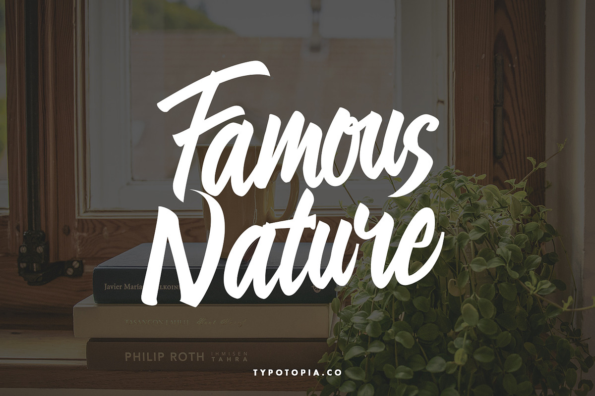 Linimasa - Modern Script Font, a Script Font by edukka (Photo 5 of 11)