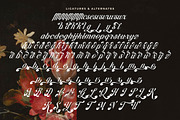 Brellight Elegant Script Font, a Script Font by timelesstype.co (Thumbnail 19 of 20)