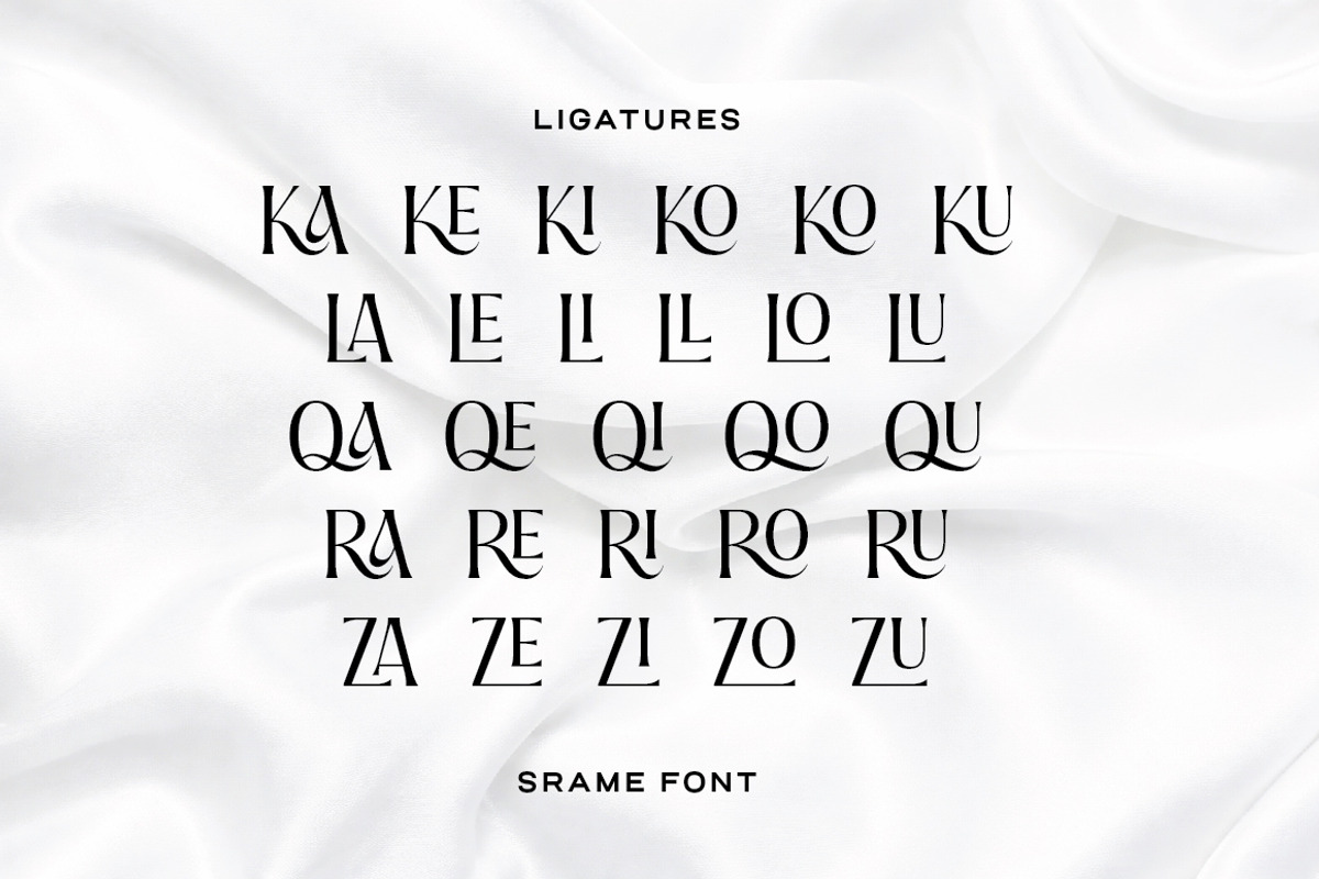 Srame - Modern Stylish Serif Font, a Serif Font by Typebae (Photo 8 of 10)