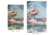 10 PASTEL MOBILE LIGHTROOM PRESETS, a Plug-in Add-On by OpulentStu (Thumbnail 2 of 6)