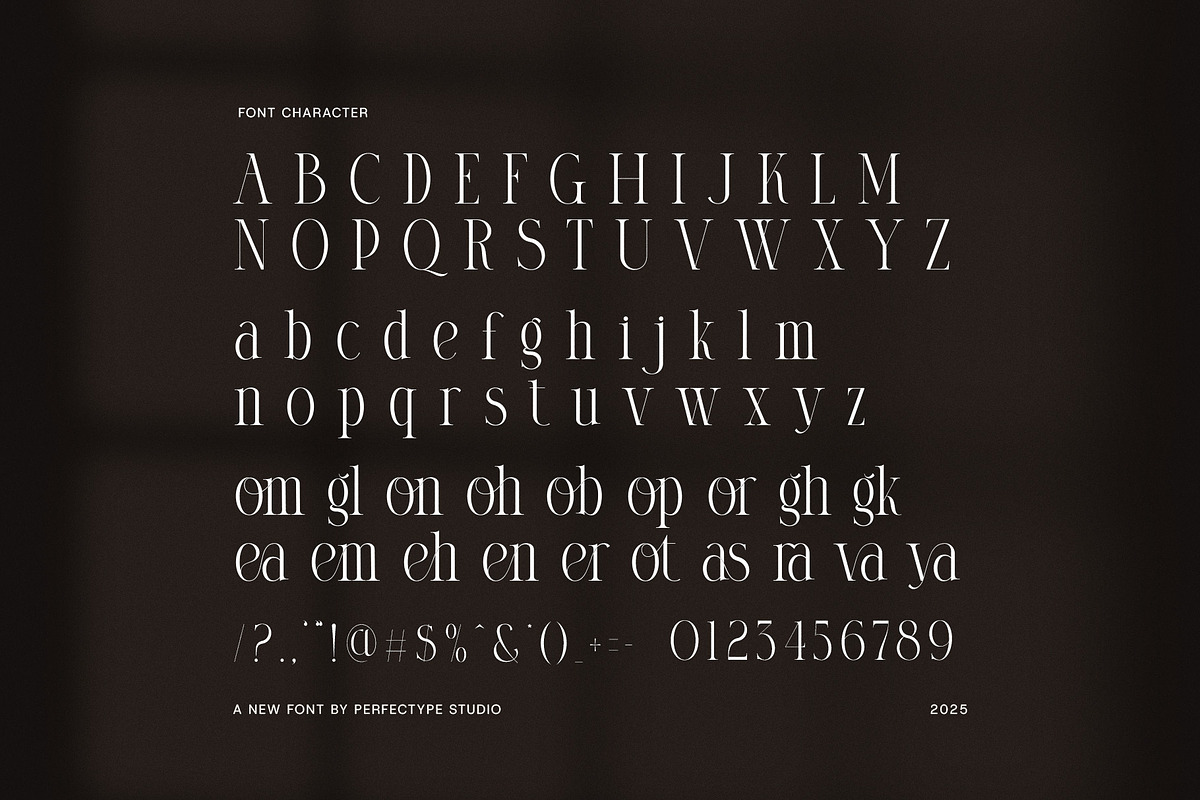 Diglome Elegant Serif Font, a Serif Font by Perfectype (Photo 8 of 8)